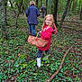 child, face, female, girl, grove, head, herbal, herbs, land, leaf, nature, outdoors, person, photography, plant, portrait, soil, tree, vegetation, woodland
