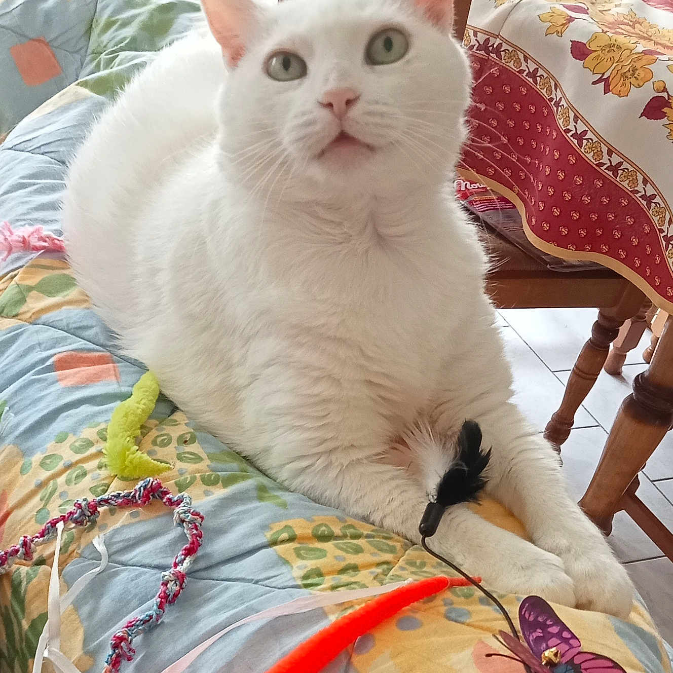 Marie