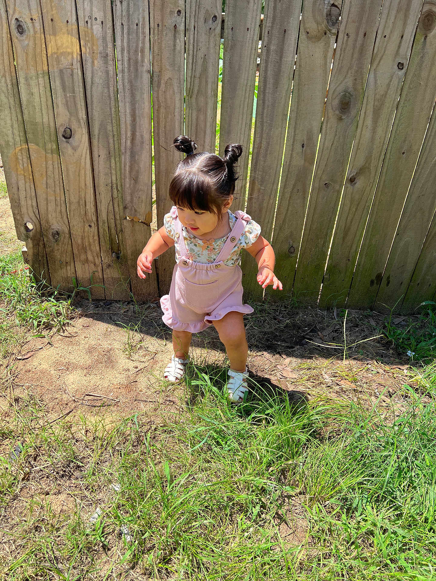 Areli joined the competition — help win amazing prizes! toddler, child, outdoor, grass, fence, sunlight, hair_buns, pink_overalls, floral_shirt, sandals, curious, standing, nature, daylight, young_child, playful, wood, person, summer, casual_clothing