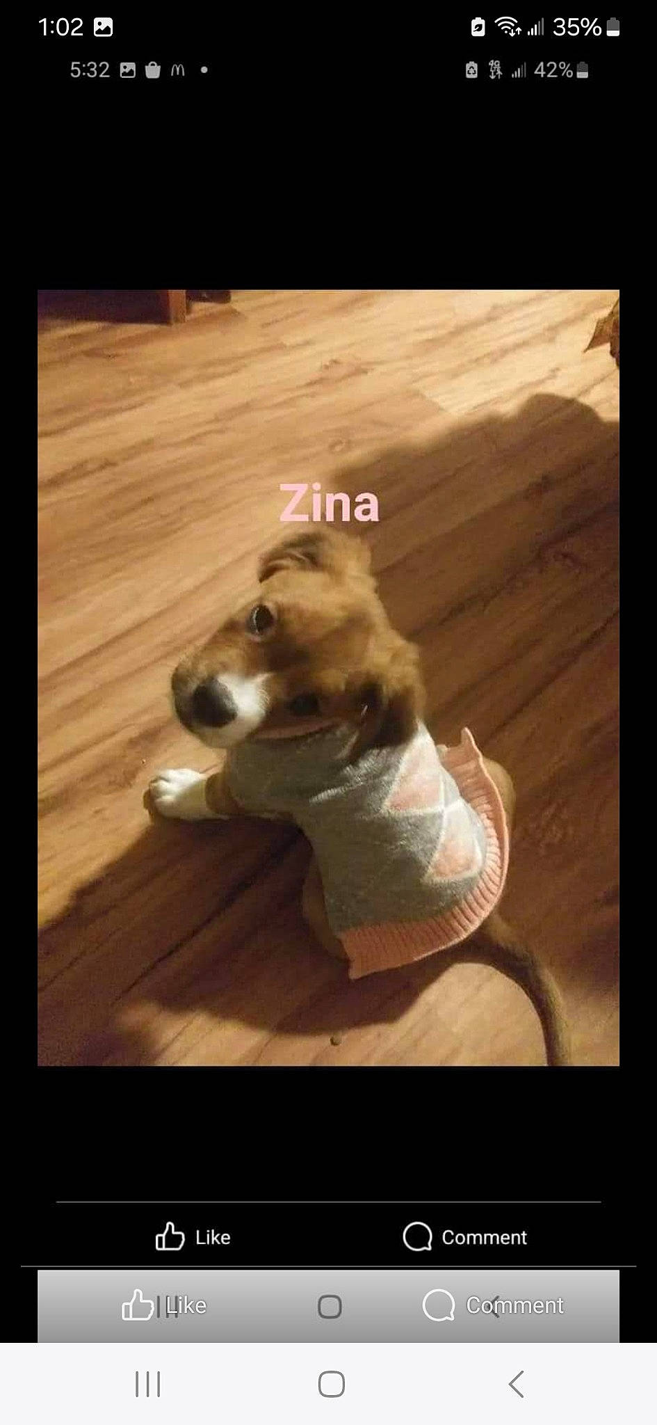 Zina