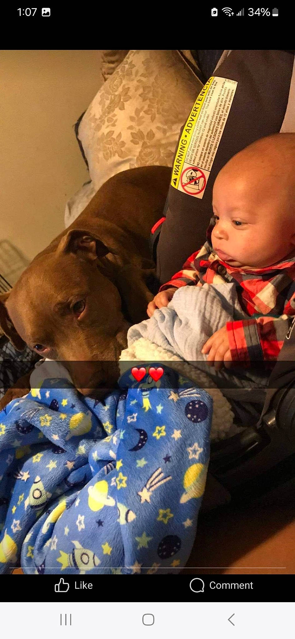 Jordan Michael is registered to the contest to win money with this photo: baby, baby_products, baby_sleeping, baby_toddler_clothing, bedtime, carnivore, child, comfort, companion_dog, couch, dog, fur, lap, linens, nap, room, sitting, sleep, textile, toddler