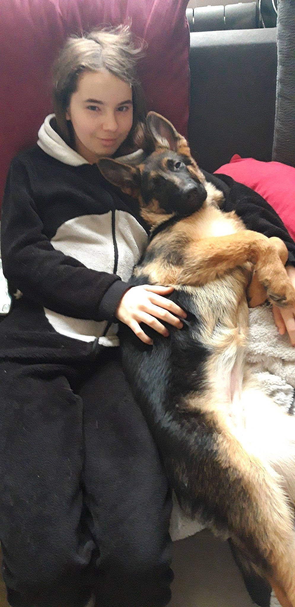 Pouka participe au concours pour gagner de l'argent avec cette photo : canidae, carnivore, companion_dog, dog, dog_breed, ear, east_european_shepherd, fur, german_shepherd_dog, king_shepherd, kunming_wolfdog, mammal, old_german_shepherd_dog, shiloh_shepherd_dog, vertebrate, wolfdog