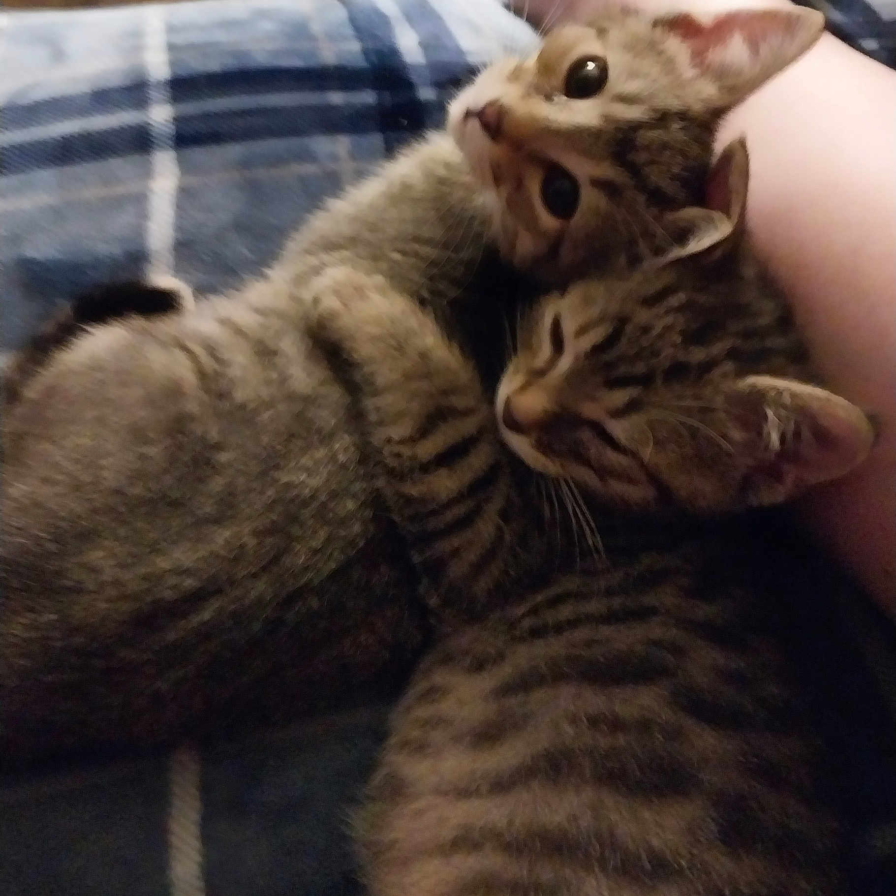 Luna And Kaida