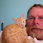 Simba is registered to the contest to win money with this photo: animal, beard, blue_wall, cat, close_up, companion, cozy, cute, face, fluffy, fur, human, indoor, kitten, man, orange_tabby, pet, portrait, relaxed, shoulder
