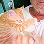 animal, beard, cat, close_up, comfort, cuddle, face, feline, glasses, head, human, indoor, kitten, nap, orange_tabby, person, pet, resting, sleeping, white_shirt