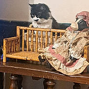 Milli Vanilli is registered to the contest to win money with this photo: animal, black_and_white, cat, curious, cute, decor, doll, domestic, furniture, furry, home, indoor, miniature_bench, ornate_legs, pet, resting, sitting, tabletop, vintage_clothing, wooden_table