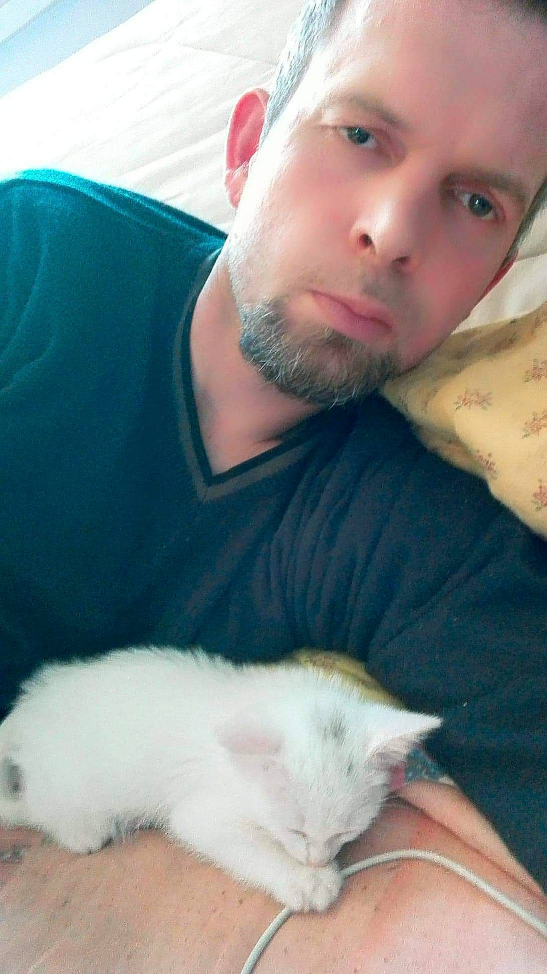 Flocon participe au concours pour gagner de l'argent avec cette photo : carnivore, cat, felidae, fur, mouth, nose, person, ragdoll, small_to_medium_sized_cats, turkish_angora, turkish_van, whiskers