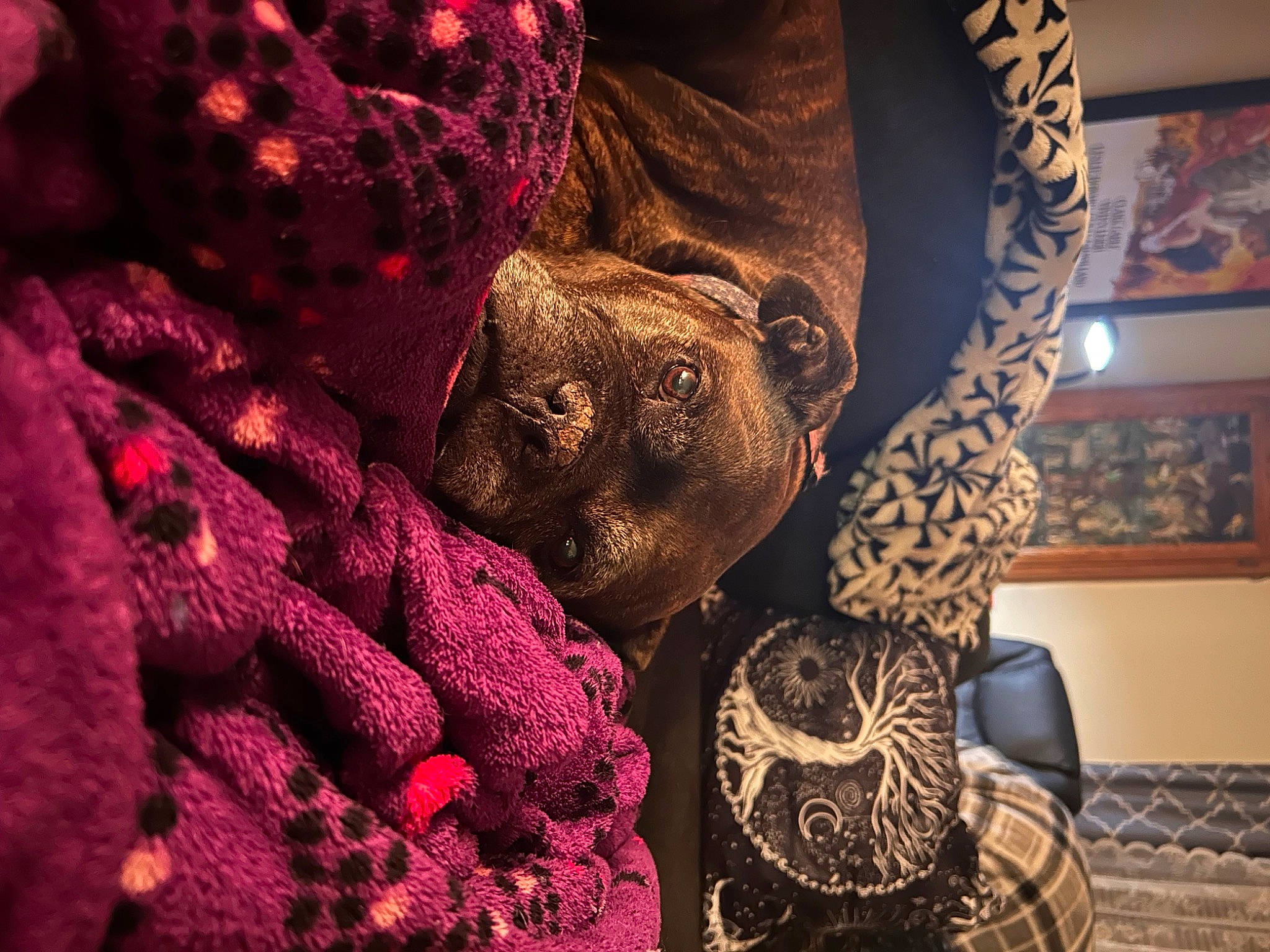 Dyna joined the competition — help win amazing prizes! art, carmine, carpet, chair, comfort, craft, flesh, flooring, fur, linens, magenta, pattern, purple, room, sleeve, thread, tradition, visual_arts, wool, woven_fabric