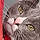 Grayce