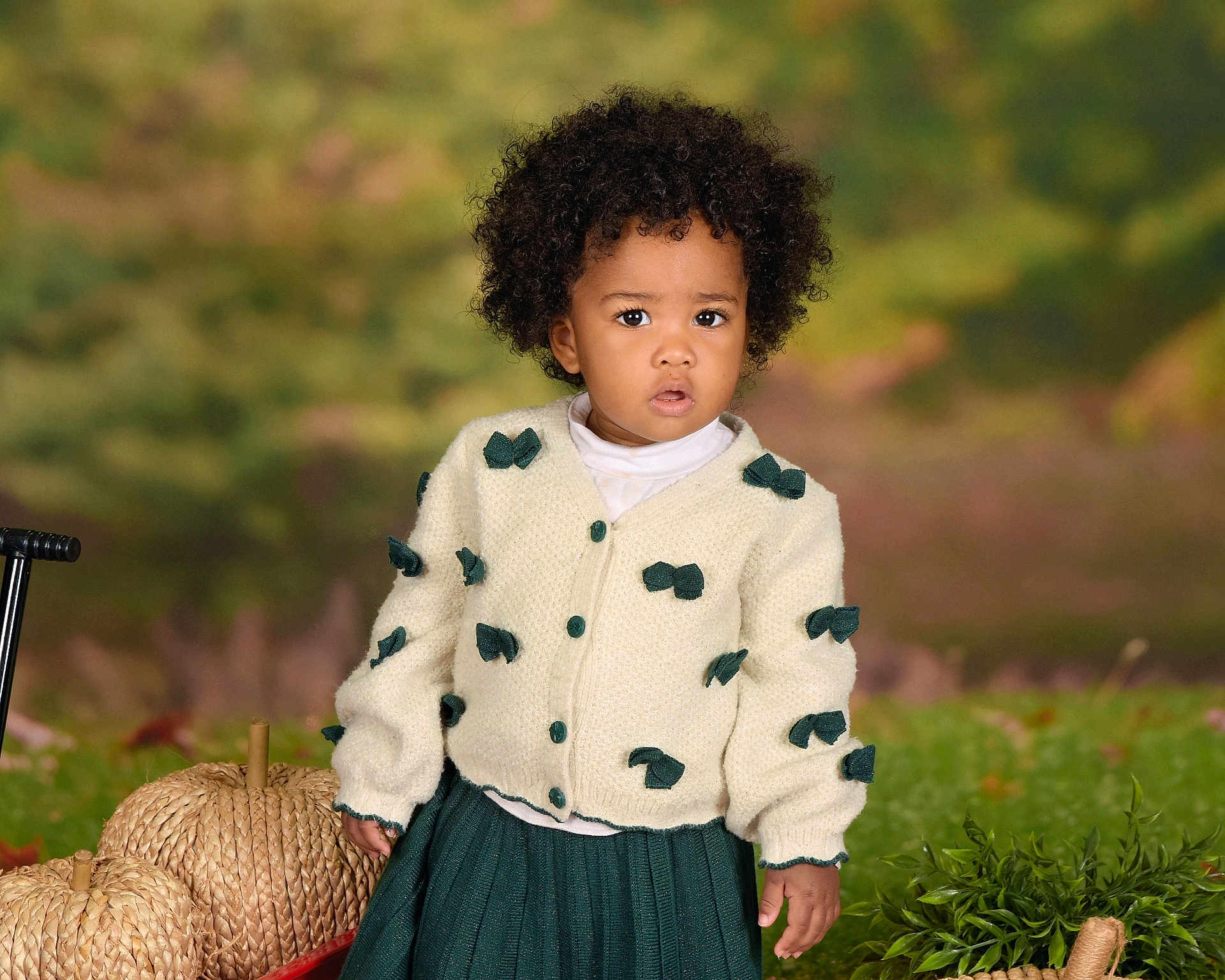 Klani is registered to the contest to win money with this photo: toddler, child, afro, cardigan, bow, green_skirt, autumn, pumpkin, woven_pumpkin, plant, outdoor, curious, portrait, fall, nature, cute, fashion, person, seasonal, leaf