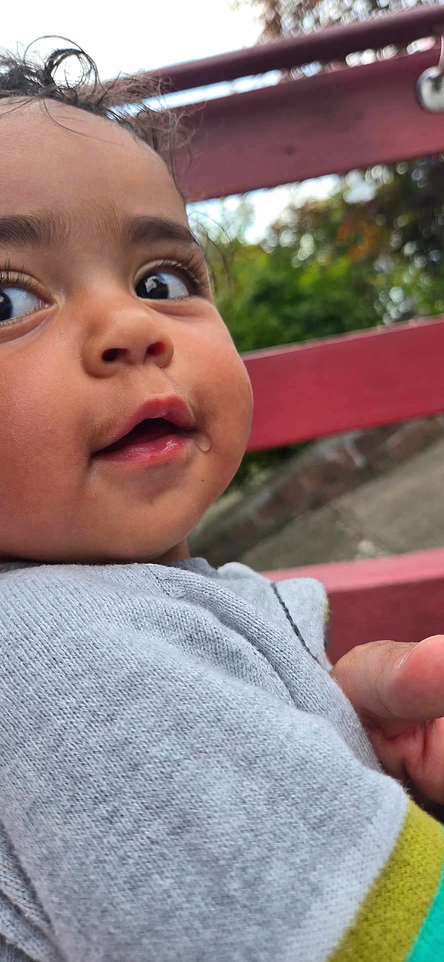 Maddox is registered to the contest to win money with this photo: toddler, child, face, closeup, outdoor, sweater, curly_hair, droplet, skin, hand, red_fence, greenery, portrait, expression, eyes, clothing, person, casual, daylight, nature