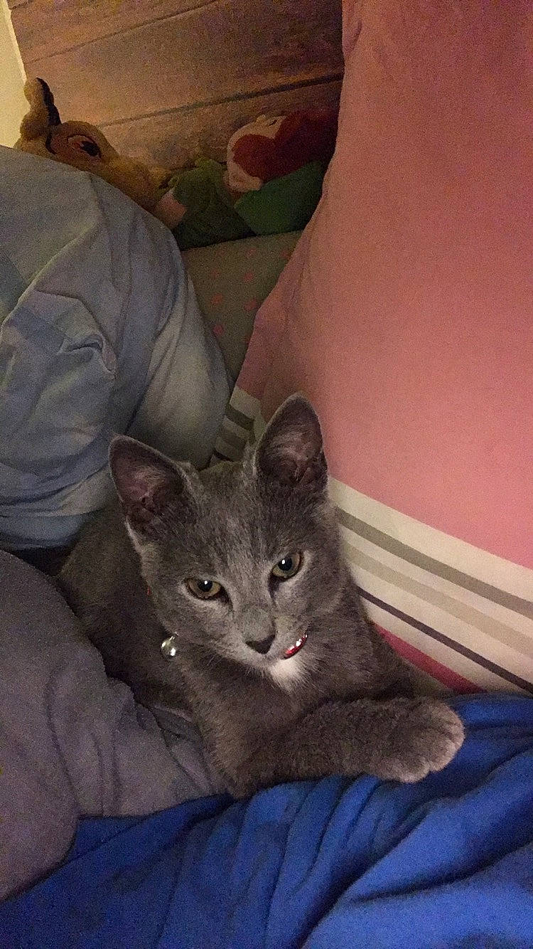 Pépito a rejoint le concours — aidez-le/la à gagner de superbes lots !