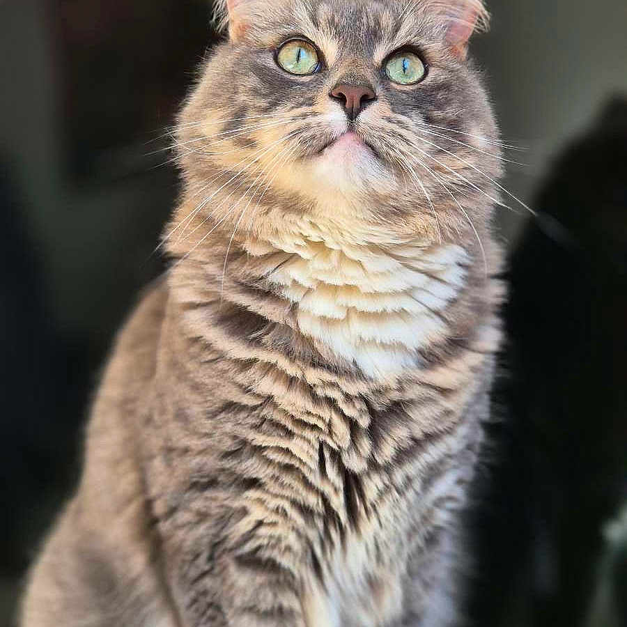 Pixel