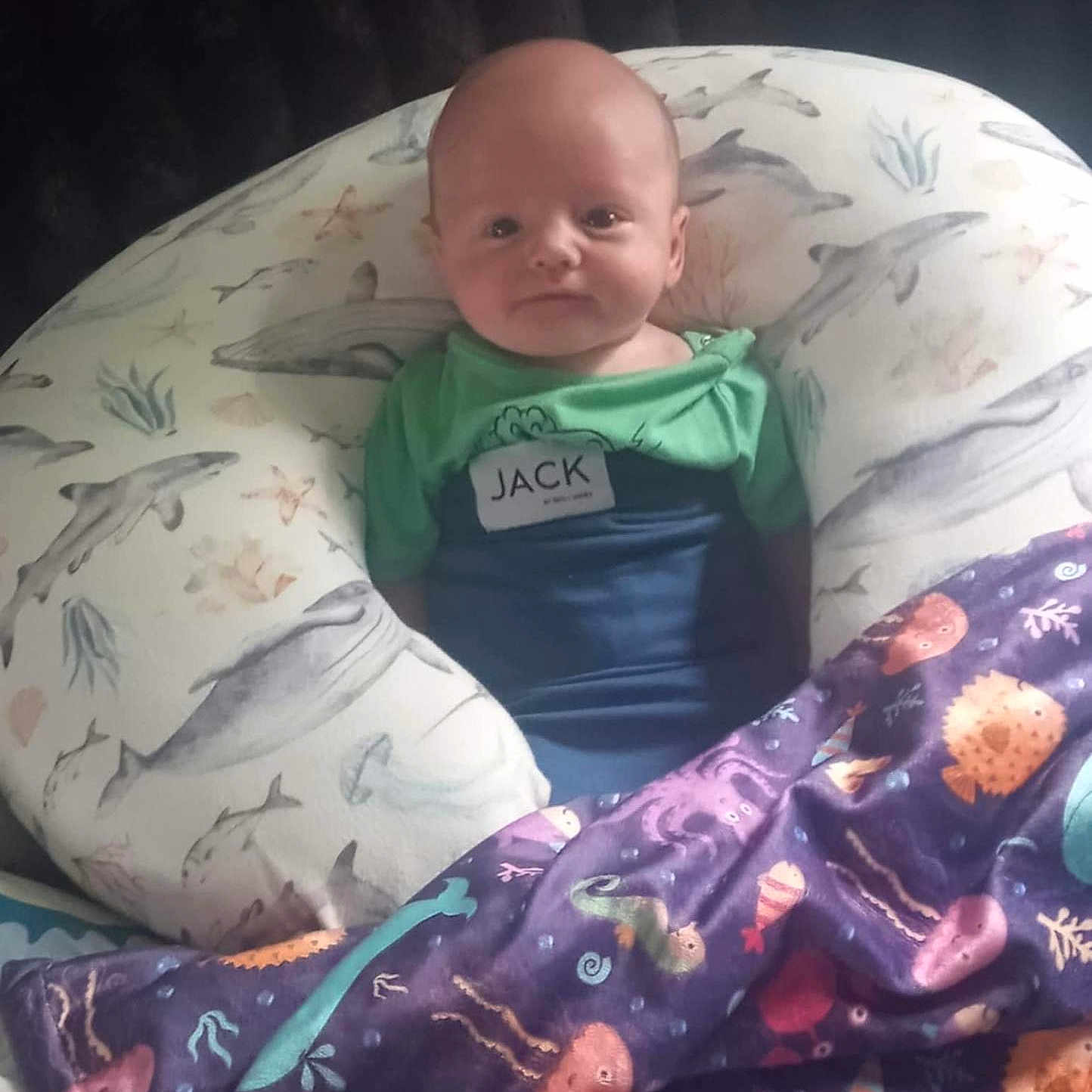 Karson is registered to the contest to win money with this photo: baby, blanket, child, cozy, cushion, cute, face, fish, green_shirt, indoor, infant, name_tag, ocean_theme, person, portrait, purple_blanket, resting, sea_creatures, smile, whale