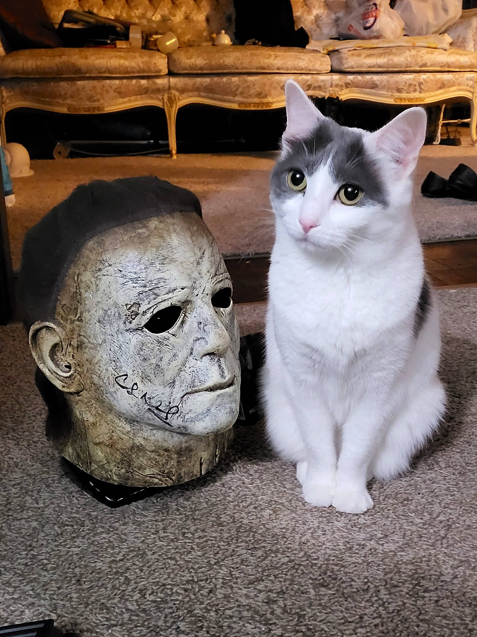 Freyja joined the competition — help win amazing prizes! art, artifact, carnivore, cat, domestic_short_haired_cat, felidae, fur, grey, metal, paw, photo_caption, sculpture, sitting, small_to_medium_sized_cats, snout, still_life_photography, tail, whiskers, window, wood