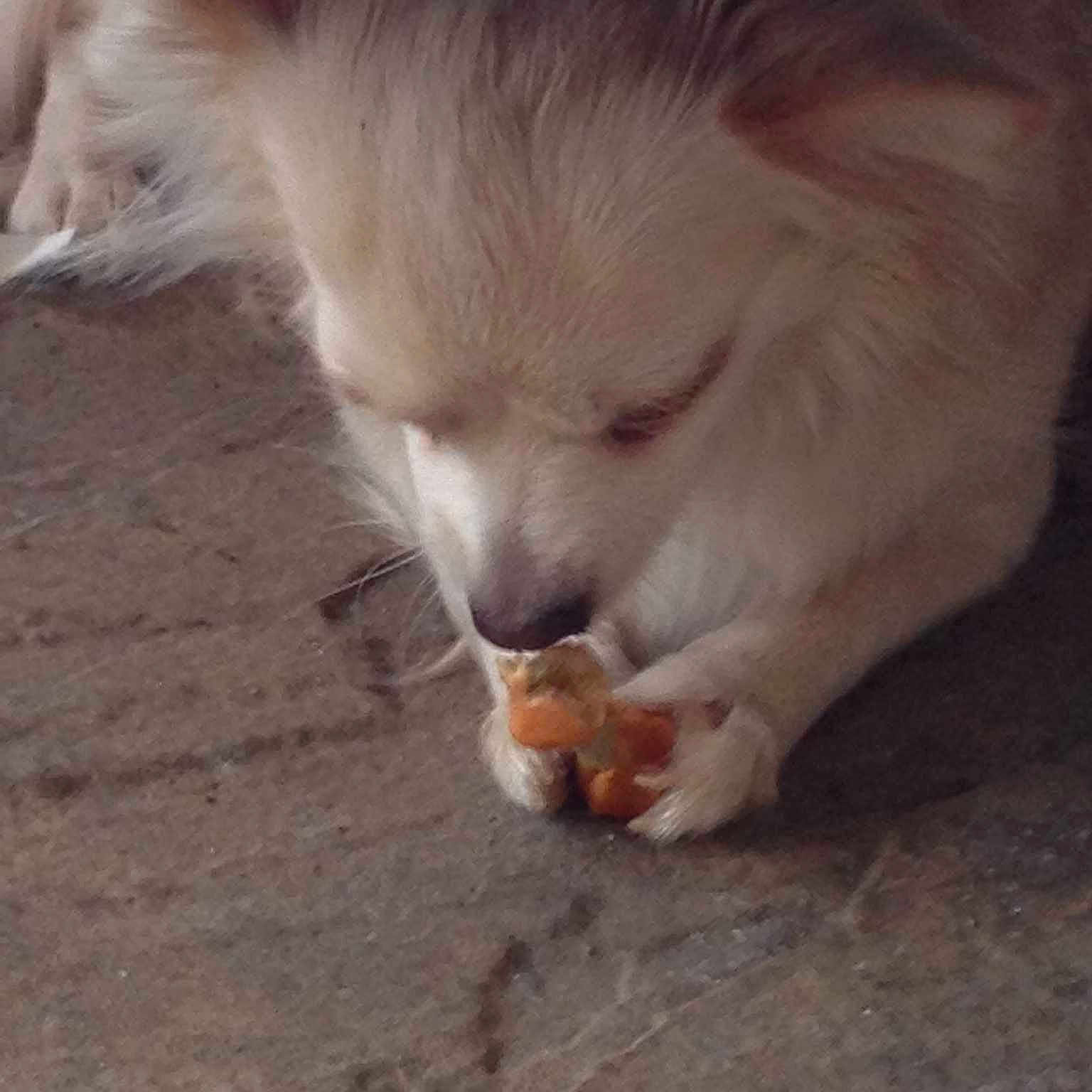 Sophie