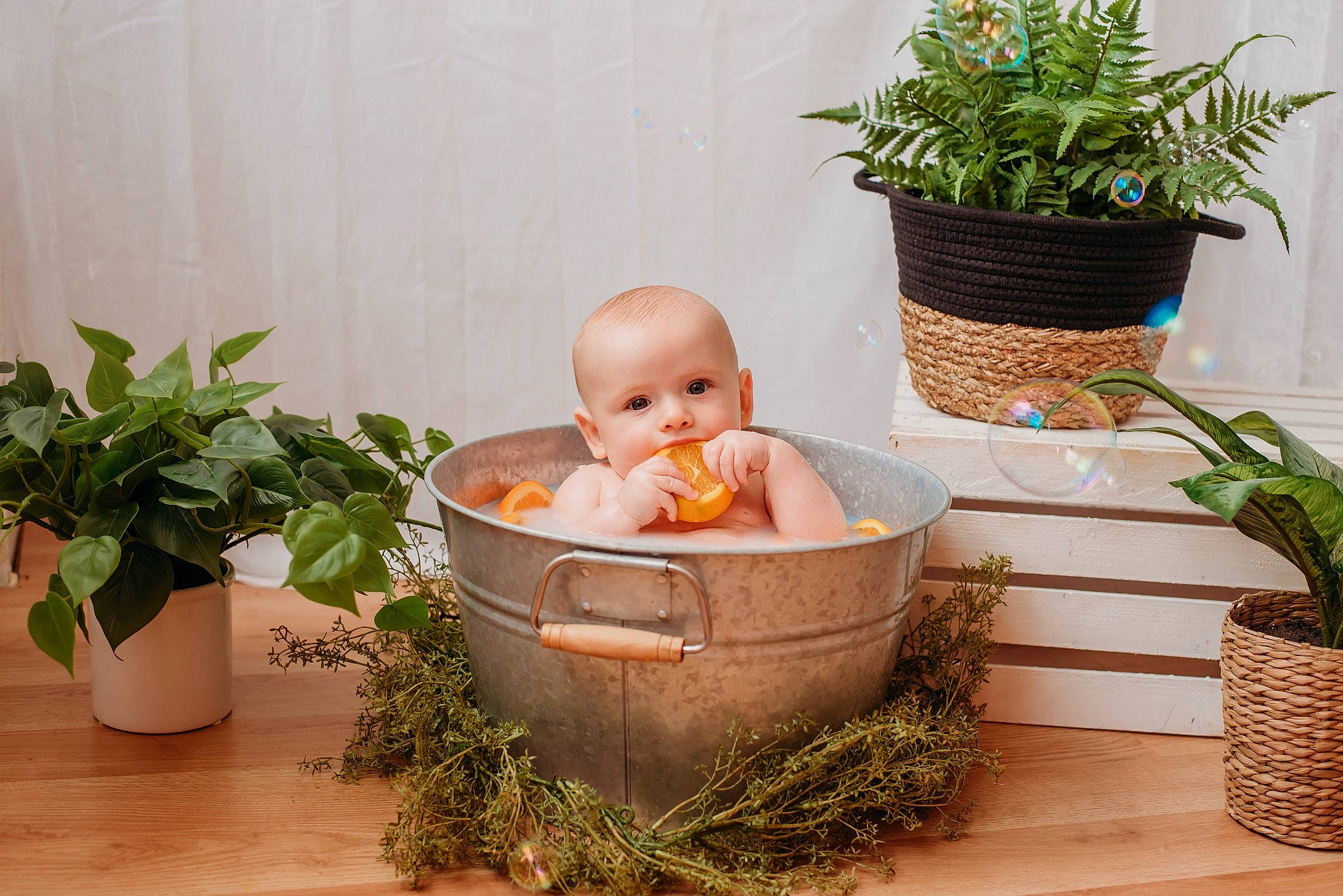 Auggie joined the competition — help win amazing prizes! baby, basket, bathing, botany, child, comfort, flooring, flowerpot, garden, grass, green, hairstyle, houseplant, leaf, person, plant, property, room, sitting, toddler