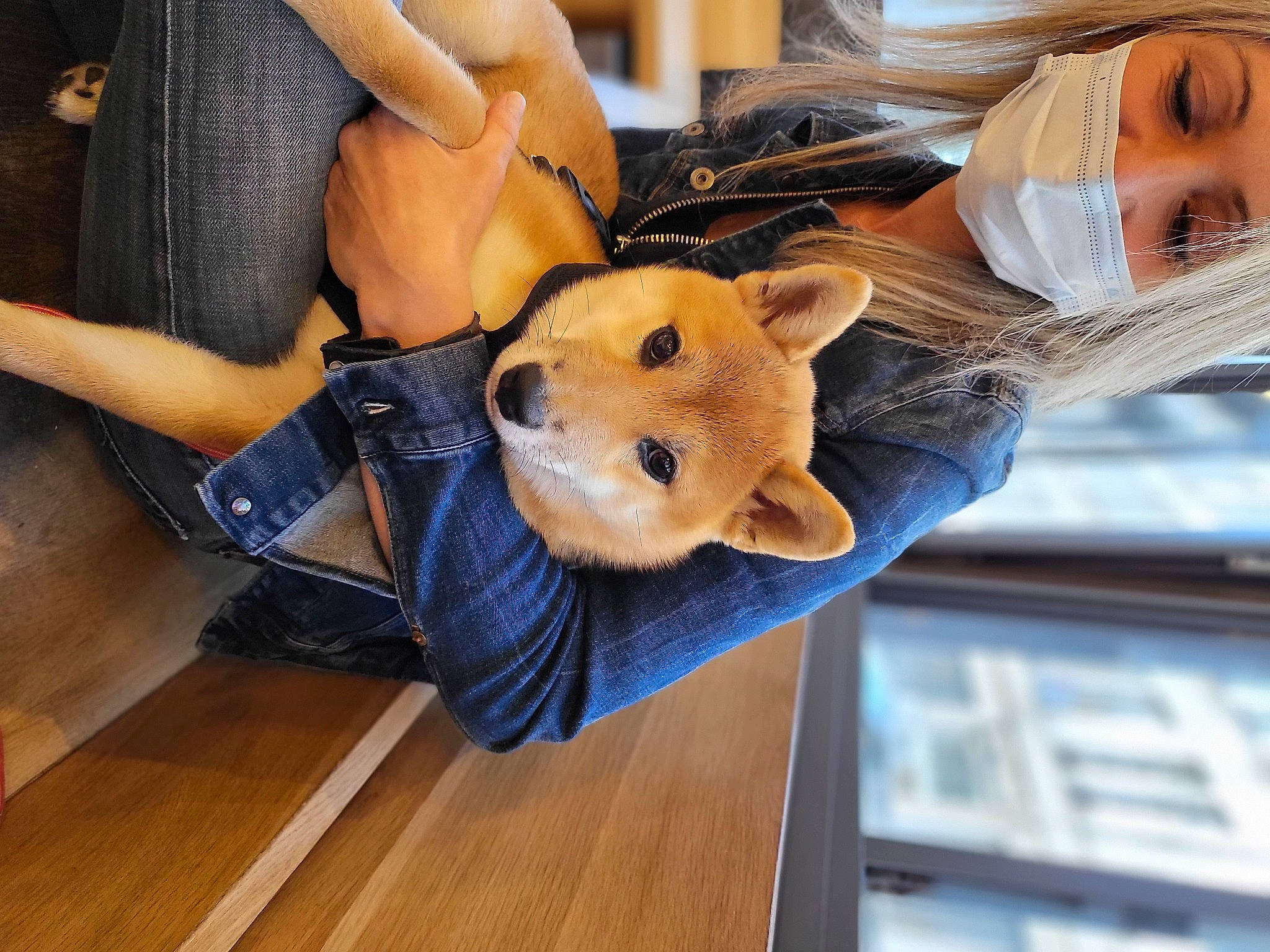 S'Alexy a rejoint le concours — aidez-le/la à gagner de superbes lots ! canidae, child, companion_dog, eyewear, fashion_accessory, fawn, flooring, fur, hardwood, orange, plush, selfie, snout, street_fashion, stuffed_toy, sunglasses, teddy_bear, toy, whiskers, wood