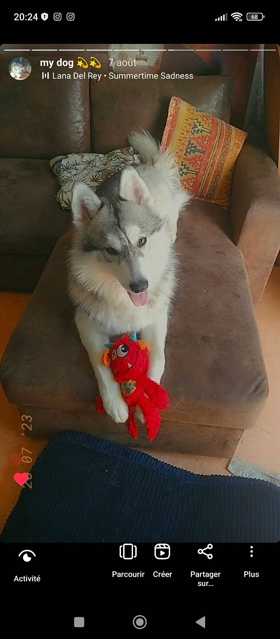 Snow participe au concours pour gagner de l'argent avec cette photo : carmine, carnivore, cat, comfort, companion_dog, couch, dog_breed, domestic_short_haired_cat, fawn, felidae, flooring, foot, fur, human_leg, lap, paw, small_to_medium_sized_cats, tail, whiskers, wood