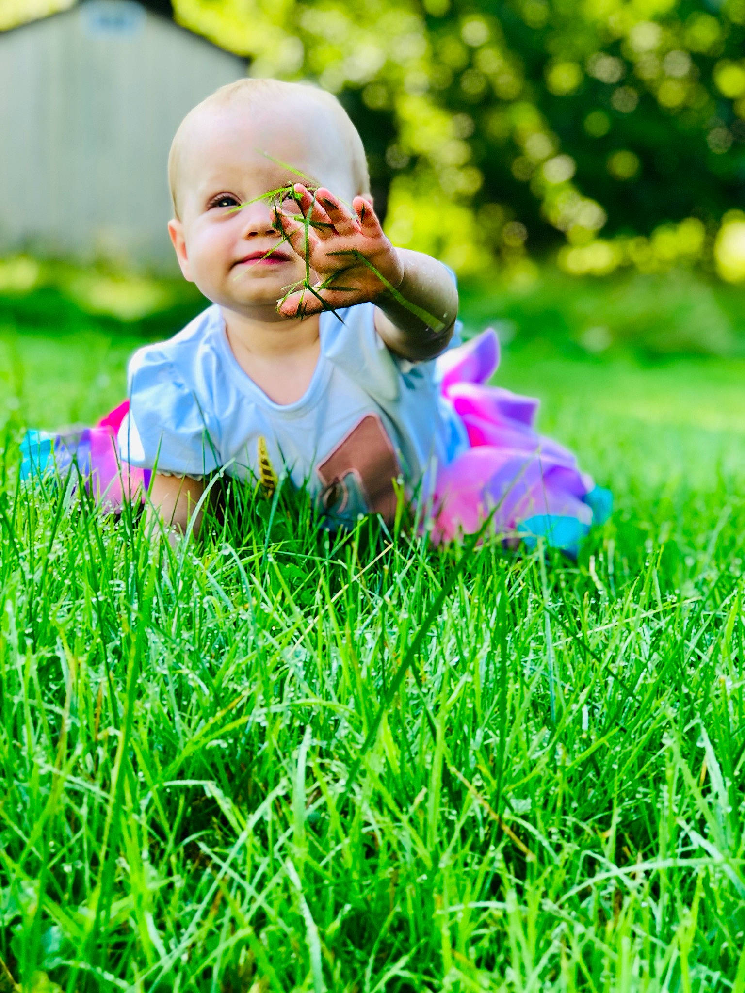 Althea is registered to the contest to win money with this photo: baby, child, fun, grass, grass_family, grassland, green, happy, lawn, meadow, people_in_nature, person, photography, plant, playing_with_kids, sitting, smile, spring, summer, sunlight