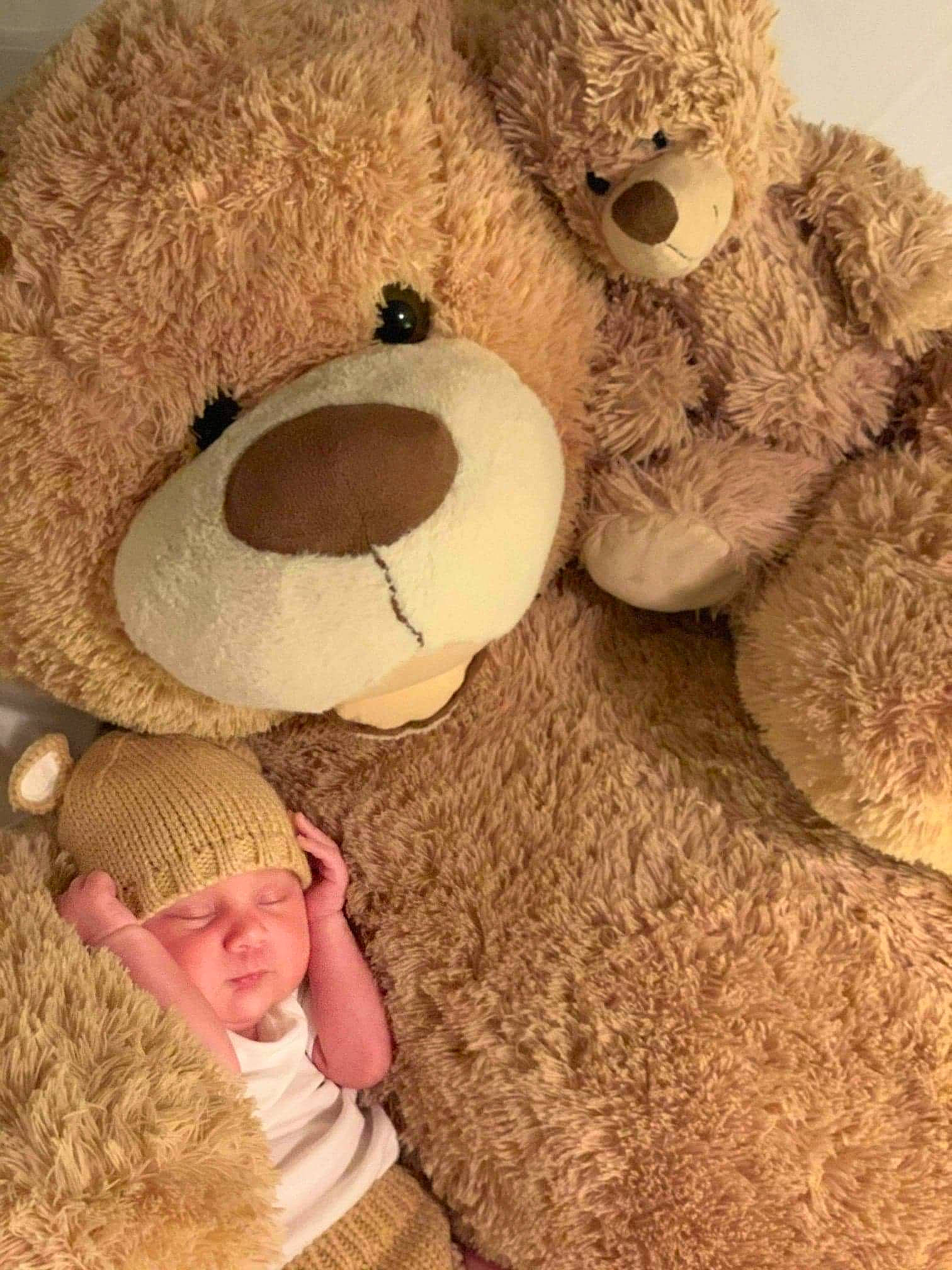 Luis joined the competition — help win amazing prizes! child, fur, person, plush, stuffed_toy, teddy_bear, toy, wool