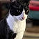 Tux