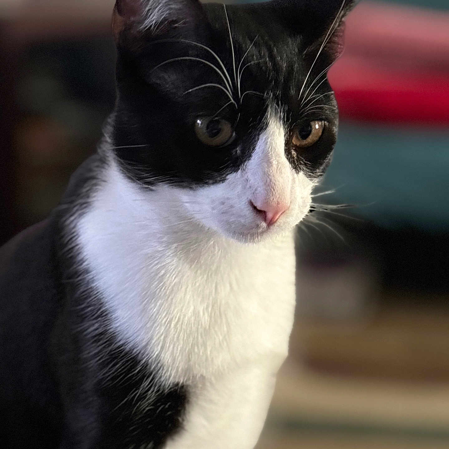 Tux