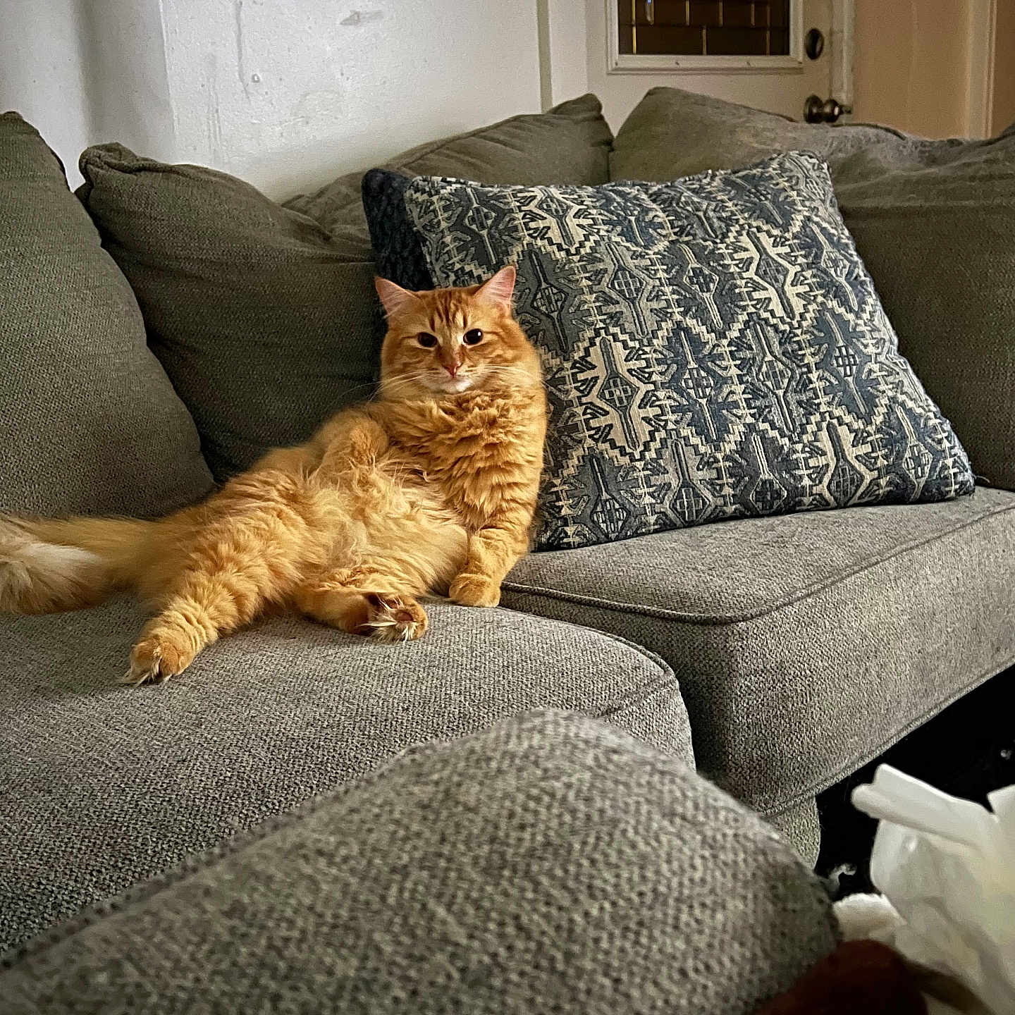 Oliver