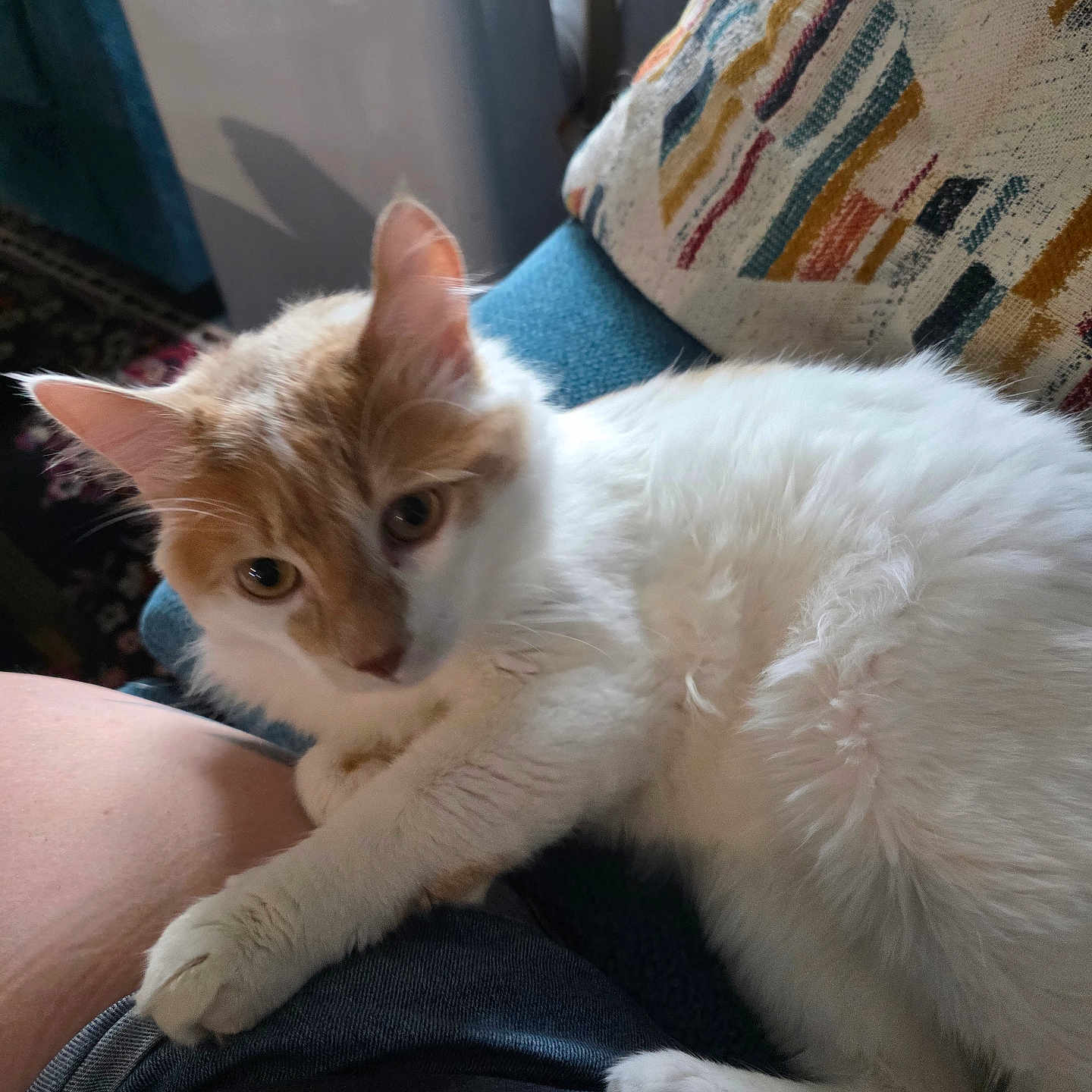 Milo
