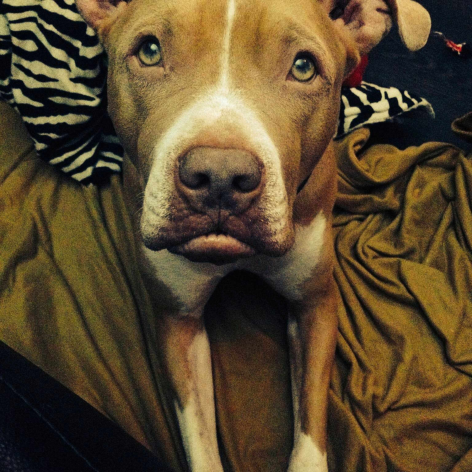 Karma is registered to the contest to win money with this photo: