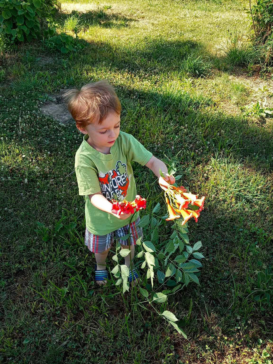 Derrek is registered to the contest to win money with this photo: baby_toddler_clothing, child, garden, gardening, grass, grass_family, grassland, groundcover, lawn, meadow, people_in_nature, person, plant, shrub, sitting, soil, t_shirt, terrestrial_plant, toddler, toy