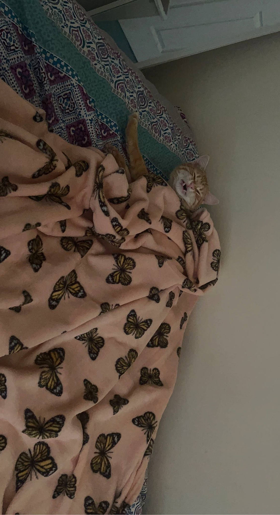 Cheeto joined the competition — help win amazing prizes! art, baby_toddler_clothing, brown, craft, creative_arts, fashion_accessory, fashion_design, font, grey, linens, pattern, room, sleeve, top, triangle, visual_arts, waist, wood, woven_fabric