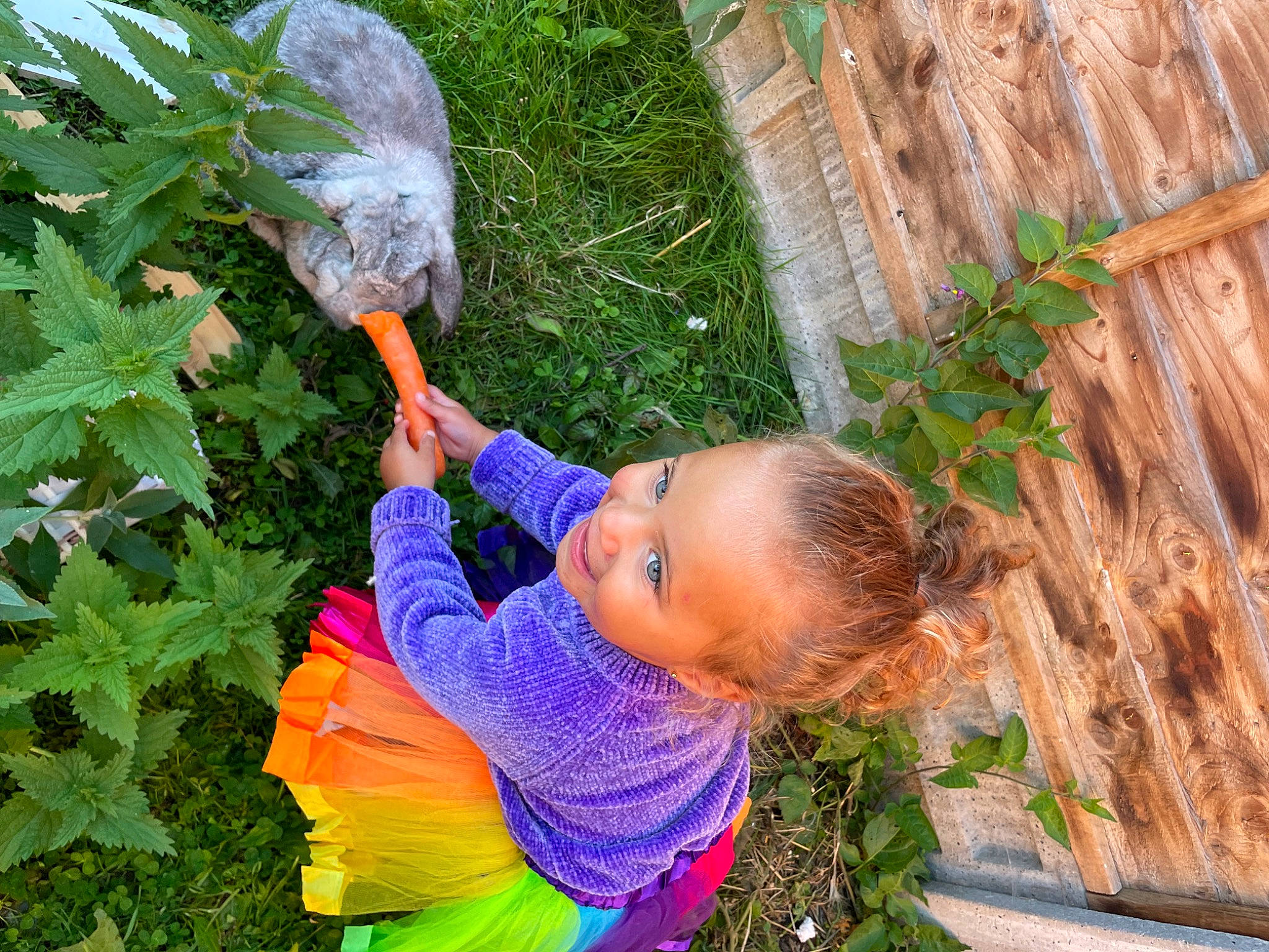 Alaya joined the competition — help win amazing prizes! adaptation, agriculture, annual_plant, child, flowering_plant, fruit, garden, grass, happy, herb, leaf, leisure, organism, people_in_nature, person, plant, soil, toddler, tree, wood