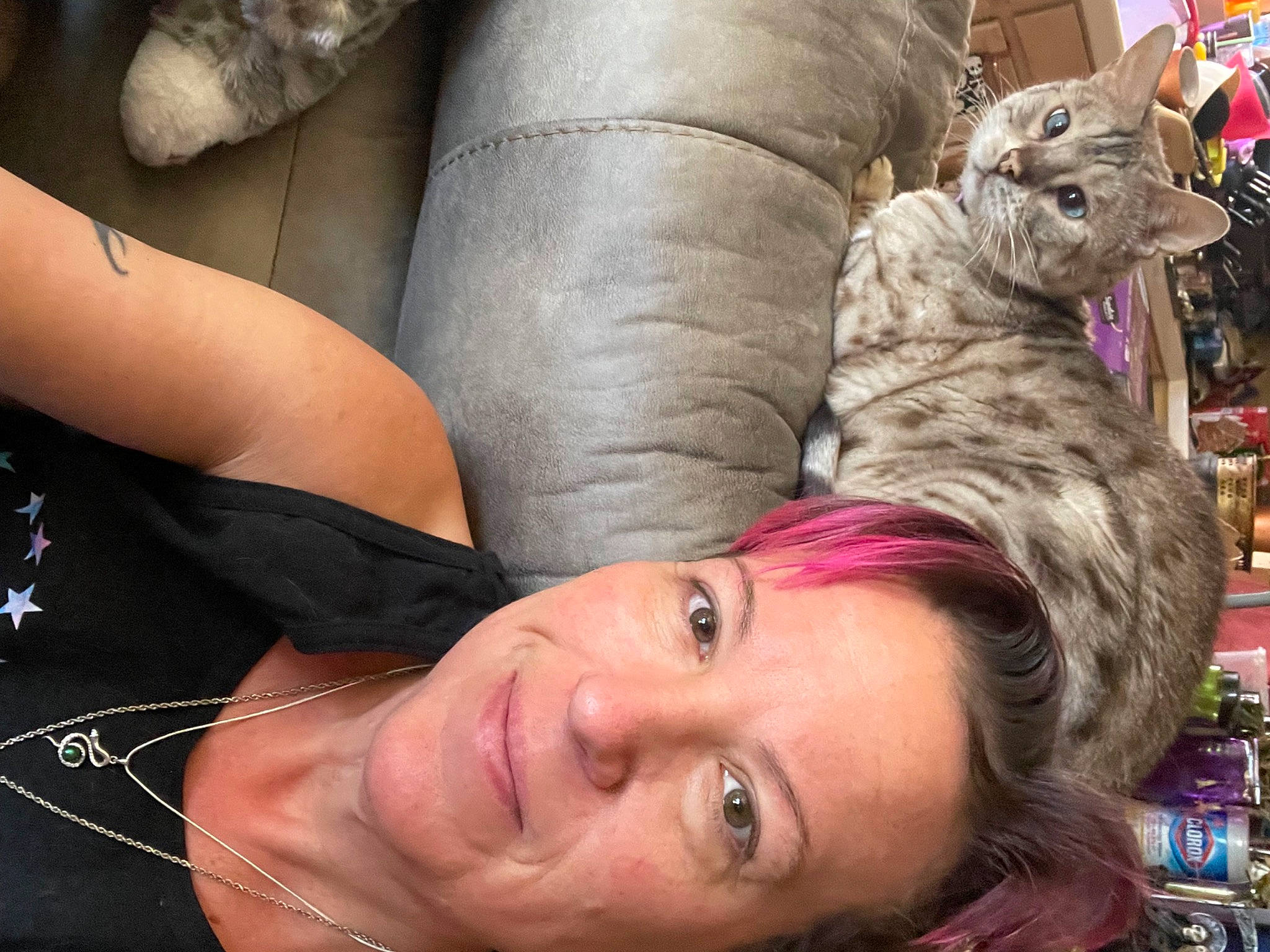 Jasmine joined the competition — help win amazing prizes! black_hair, chest, comfort, eyelash, felidae, flash_photography, gesture, happy, jaw, lip, long_hair, mouth, neck, nose, people, shoulder, skin, small_to_medium_sized_cats, smile, thigh