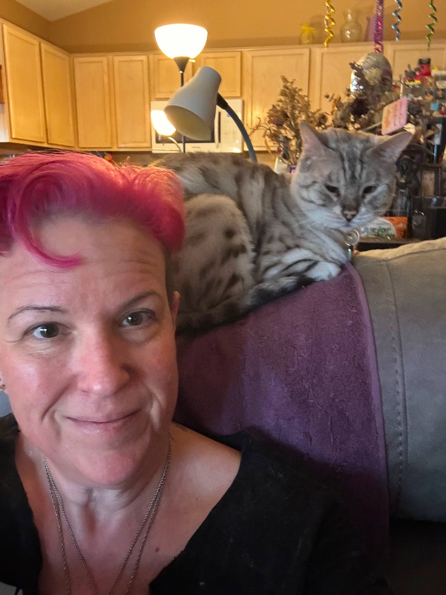 Jasmine joined the competition — help win amazing prizes! carnivore, cat, comfort, domestic_short_haired_cat, eyewear, felidae, fun, fur, hair_coloring, jewellery, lamp, living_room, necklace, plant, room, selfie, sitting, small_to_medium_sized_cats, smile, whiskers