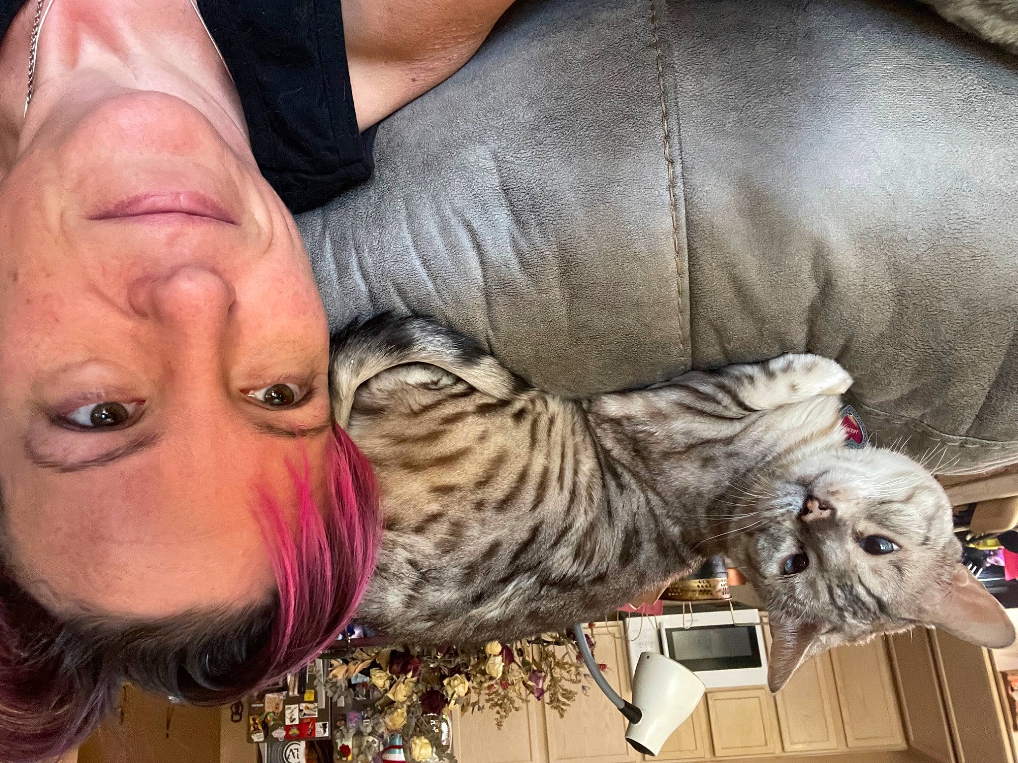 Jasmine is registered to the contest to win money with this photo: big_cats, canidae, carnivore, companion_dog, domestic_short_haired_cat, eyelash, eyewear, fawn, feather, felidae, fun, fur, gesture, happy, mammal, nail, selfie, small_to_medium_sized_cats, whiskers, wildlife