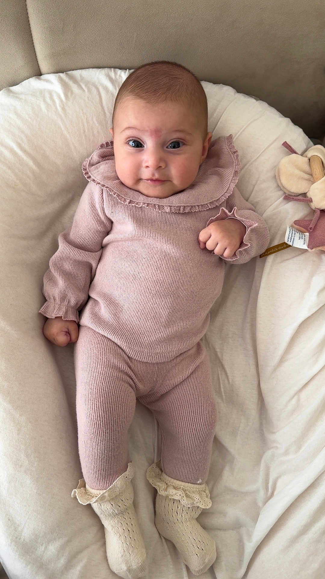 Ayla