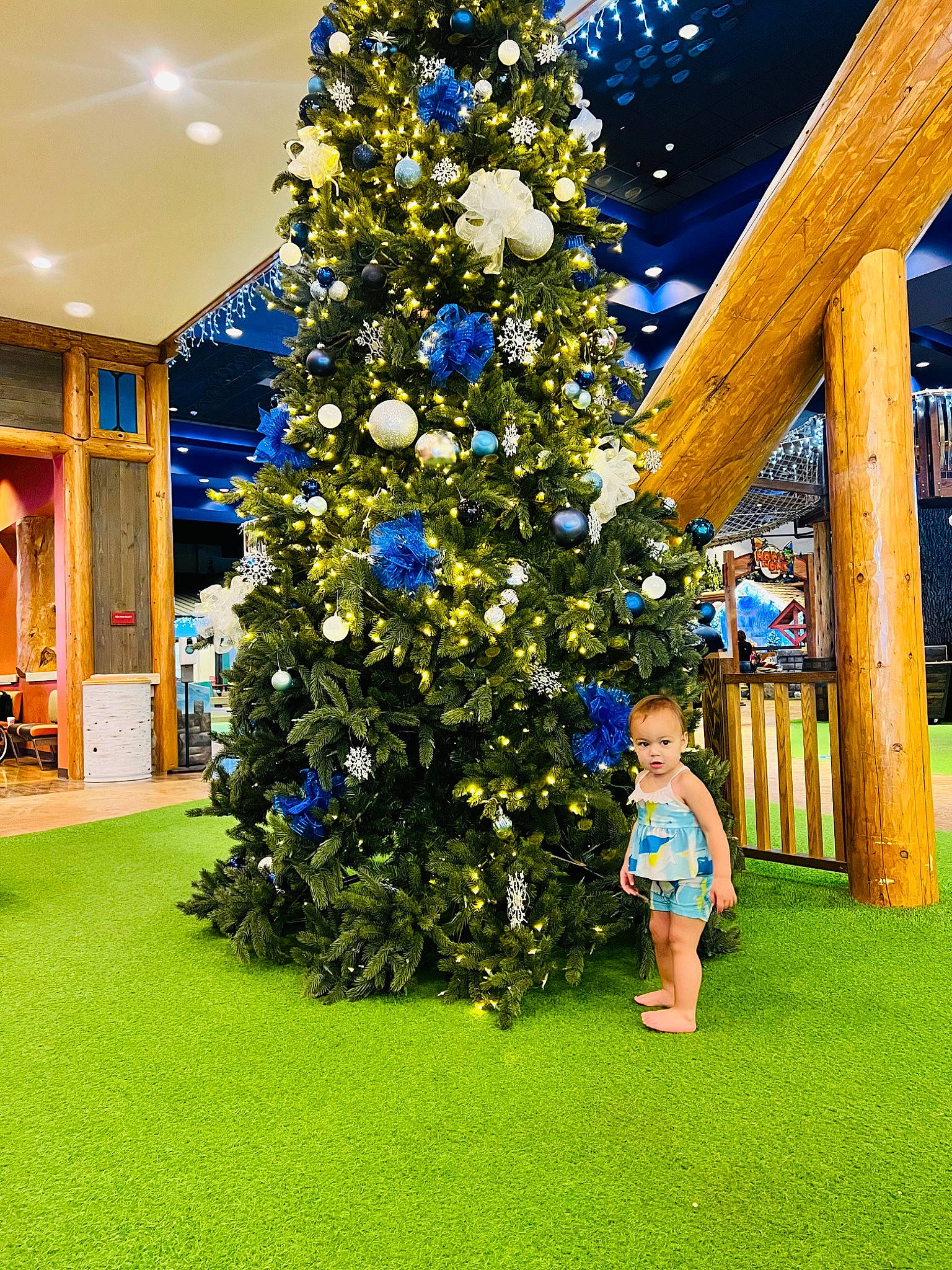 Thalia Arielle is registered to the contest to win money with this photo: christmas, christmas_decoration, christmas_ornament, christmas_tree, electric_blue, event, evergreen, grass, holiday, holiday_ornament, leisure, ornament, people_in_nature, person, plant, pole, shorts, toddler, tree, wood