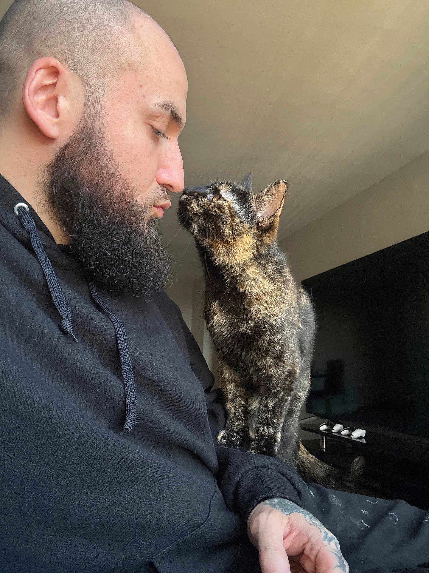 Reece joined the competition — help win amazing prizes! man, beard, cat, tortoiseshell_cat, indoor, hoodie, television, kiss, affection, pet, human, portrait, close_up, living_room, furniture, sitting, tattoo, window_light, whiskers, black_clothing