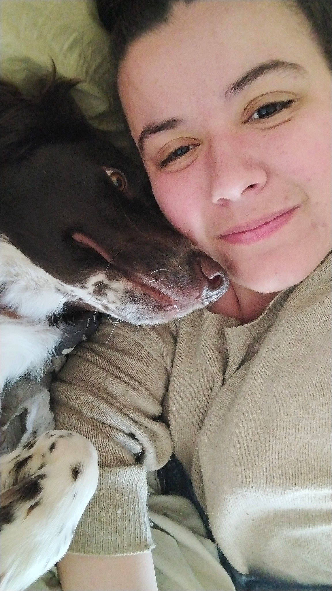 Minus participe au concours pour gagner de l'argent avec cette photo : canidae, carnivore, companion_dog, dog, dog_breed, ear, eyelash, fawn, fur, gesture, guard_dog, happy, jaw, puppy_love, smile, snout, sporting_group, whiskers, winter, working_animal