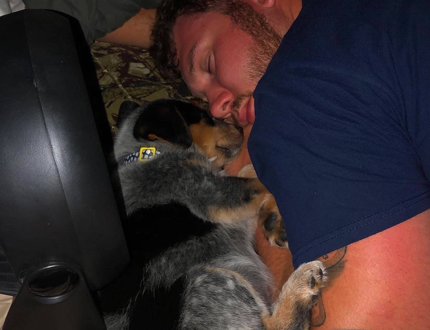 Navy joined the competition — help win amazing prizes! canidae, carnivore, marsupial