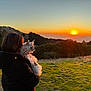 sunset, person, cat, outdoor, nature, landscape, animal, pet, grass, hill, tree, sky, evening, sun, silhouette, warm_light, fur, holding, scenic, peaceful