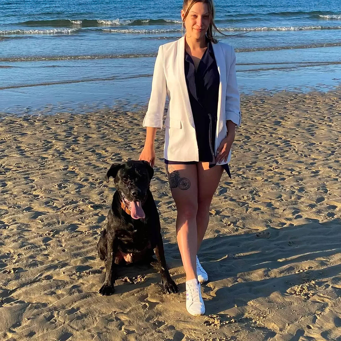 Thot a rejoint le concours — aidez-le/la à gagner de superbes lots ! beach, carnivore, coast, companion_dog, dog, dog_breed, fawn, fun, happy, horizon, lake, leg, leisure, ocean, people_in_nature, sand, shore, sporting_group, thigh, water