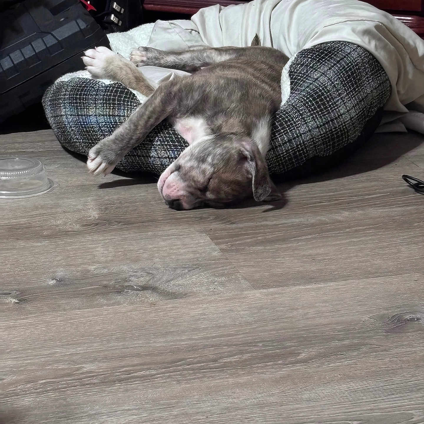Dozer