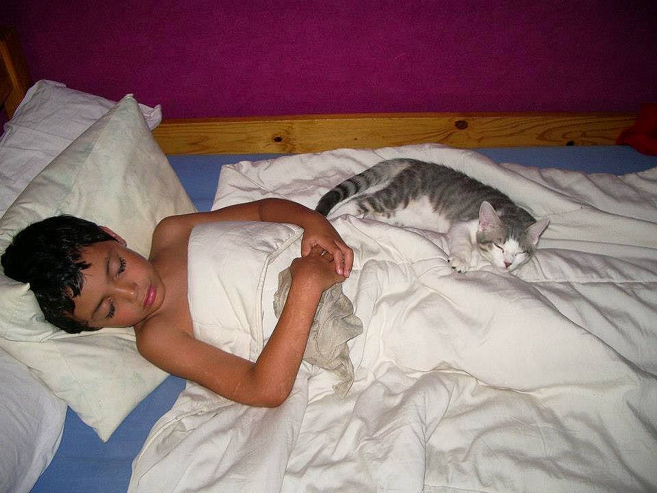 Moustache participe au concours pour gagner de l'argent avec cette photo : bed, bed_sheet, bedding, bedtime, birth, comfort, furniture, linens, mattress, nap, pillow, room, sleep, textile