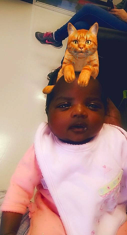 Madyson joined the competition — help win amazing prizes! carnivore, cat, cheek, child, ear, eye, face, fawn, felidae, forehead, head, lip, mouth, nose, organ, person, pink, skin, small_to_medium_sized_cats, snout