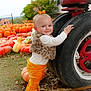 alloywheel, architecture, baby, building, face, food, grass, head, outdoors, person, photography, plant, portrait, pottedplant, produce, pumpkin, shelter, soil, squash, vegetable