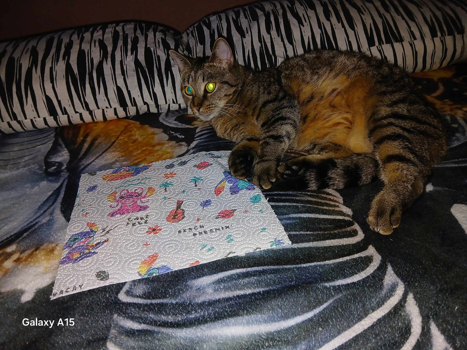Titi a rejoint le concours — aidez-le/la à gagner de superbes lots ! cat, tabby, pet, animal, indoor, blanket, patterned, fur, whiskers, paws, relaxed, laying, colorful, paper_towel, flash, glowing_eyes, striped, cozy, home, resting