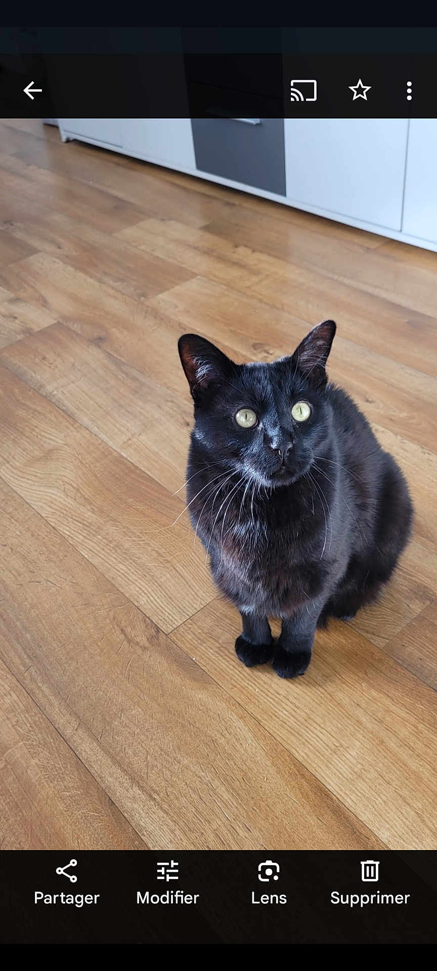 Choupi