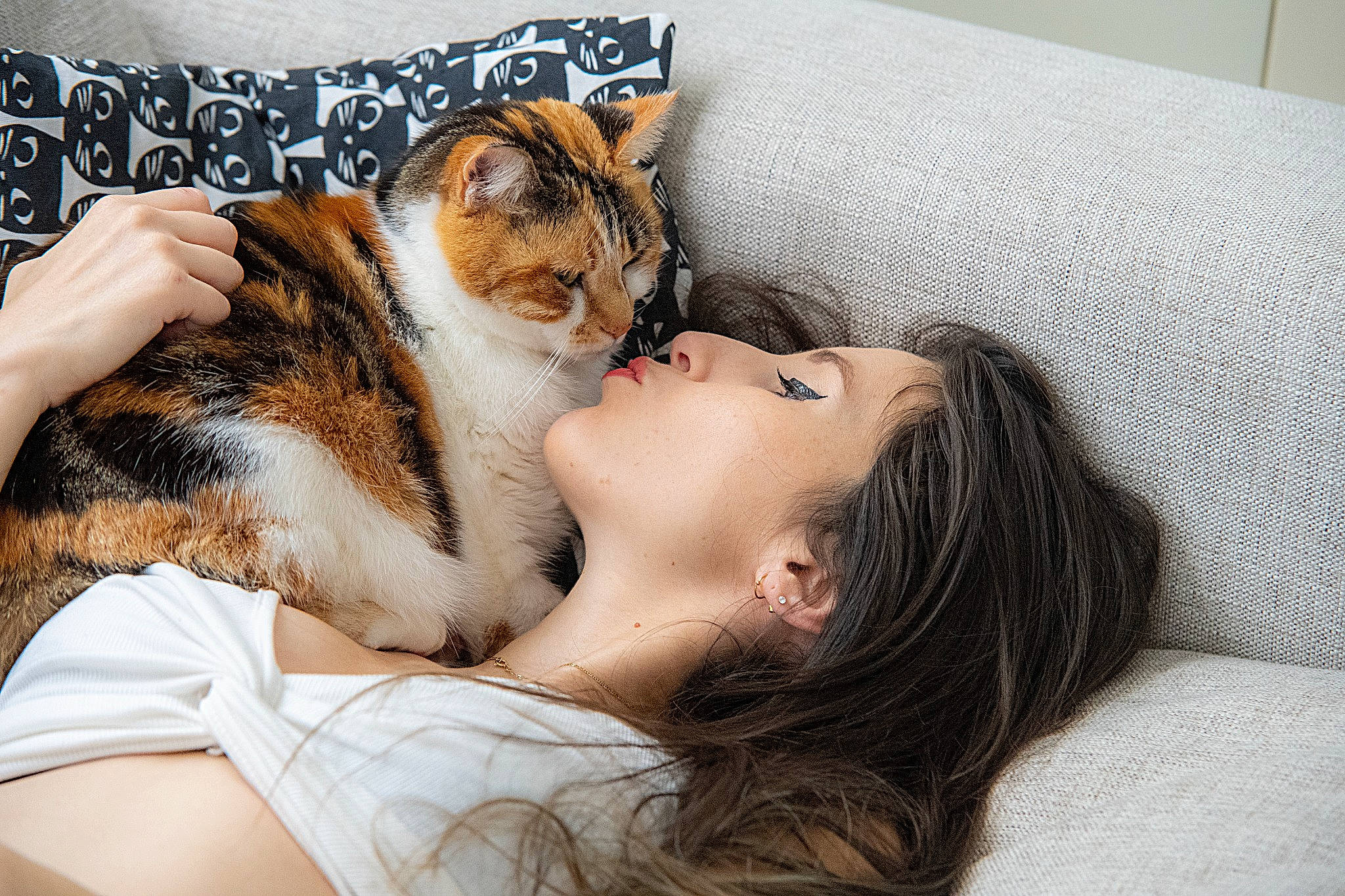 Clochette participe au concours pour gagner de l'argent avec cette photo : bed, carnivore, cat, comfort, couch, ear, eyelash, fawn, felidae, fur, glasses, head, human_body, iris, paw, small_to_medium_sized_cats, snout, tail, whiskers, wood